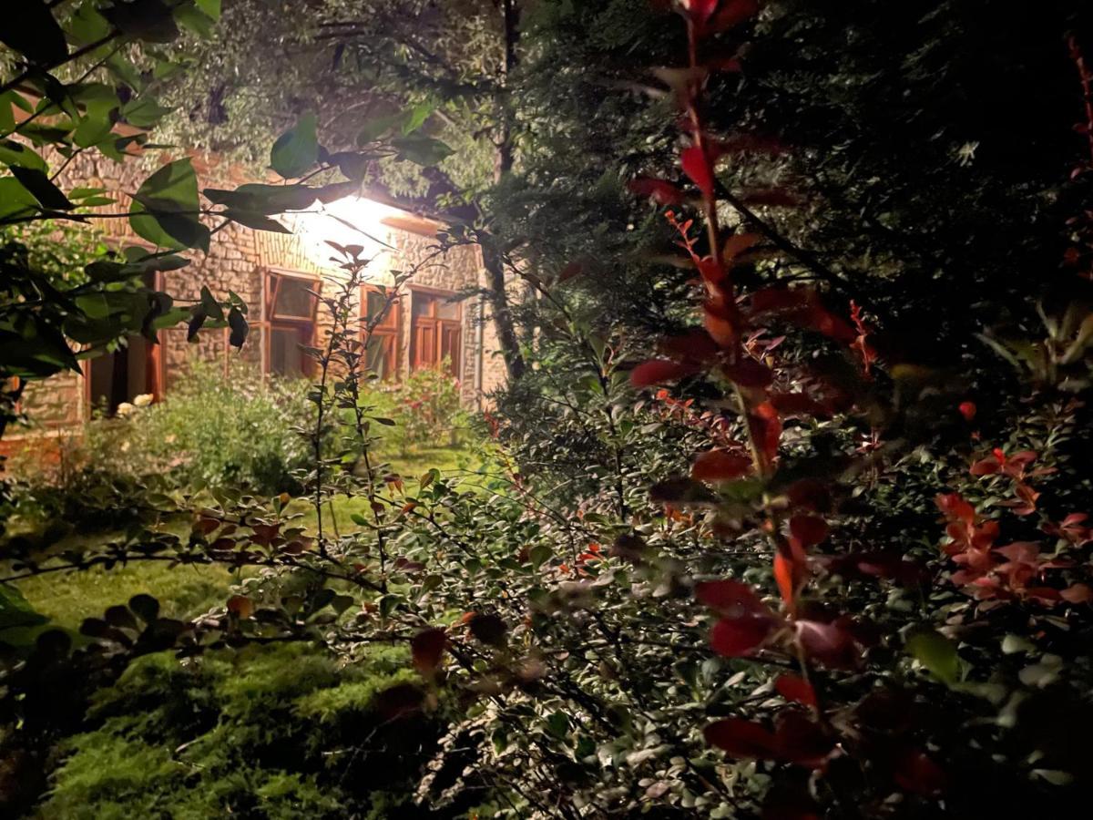 Apartmán Kohaz Apartman Veszprém Exteriér fotografie