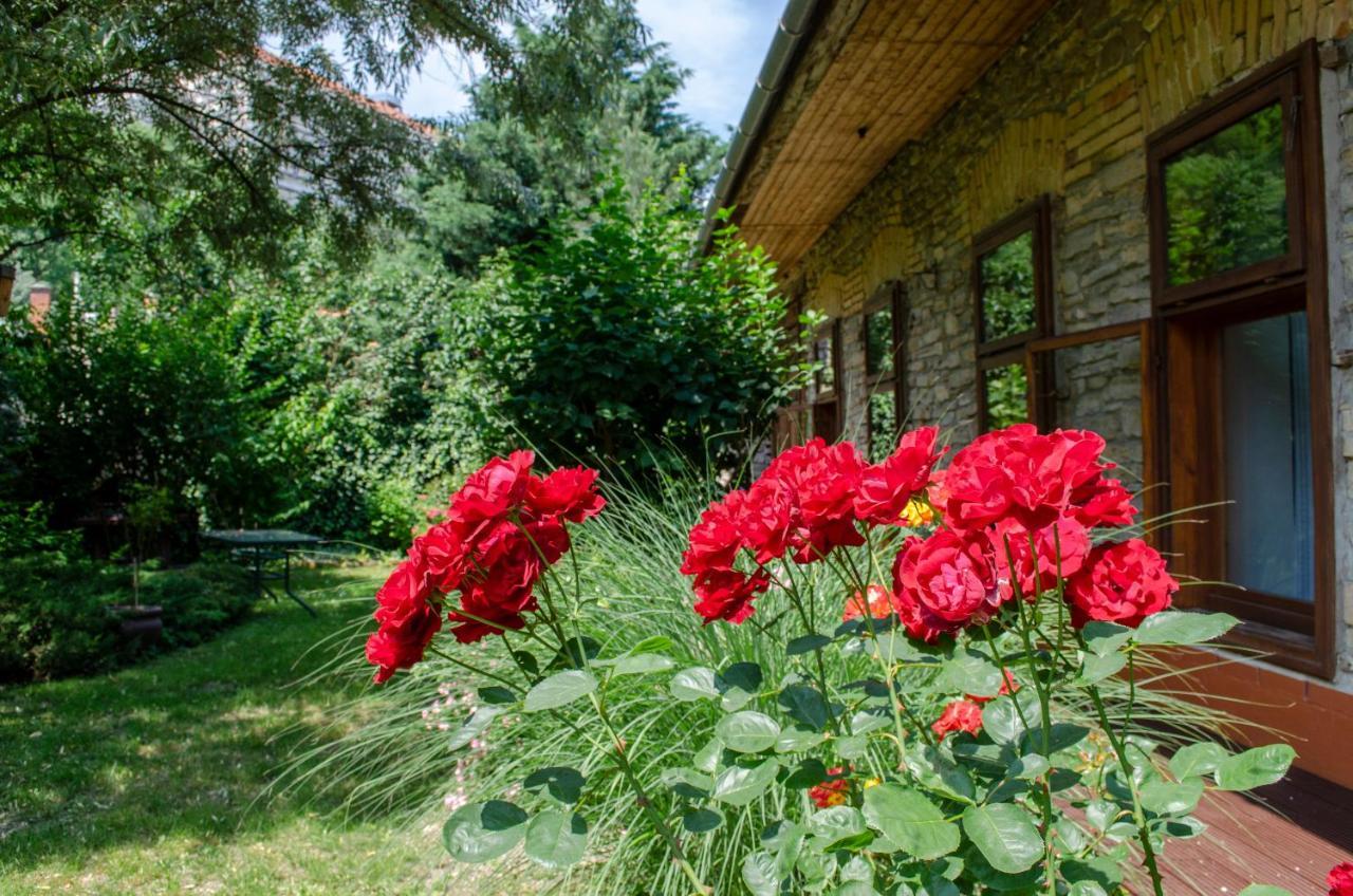 Apartmán Kohaz Apartman Veszprém Exteriér fotografie
